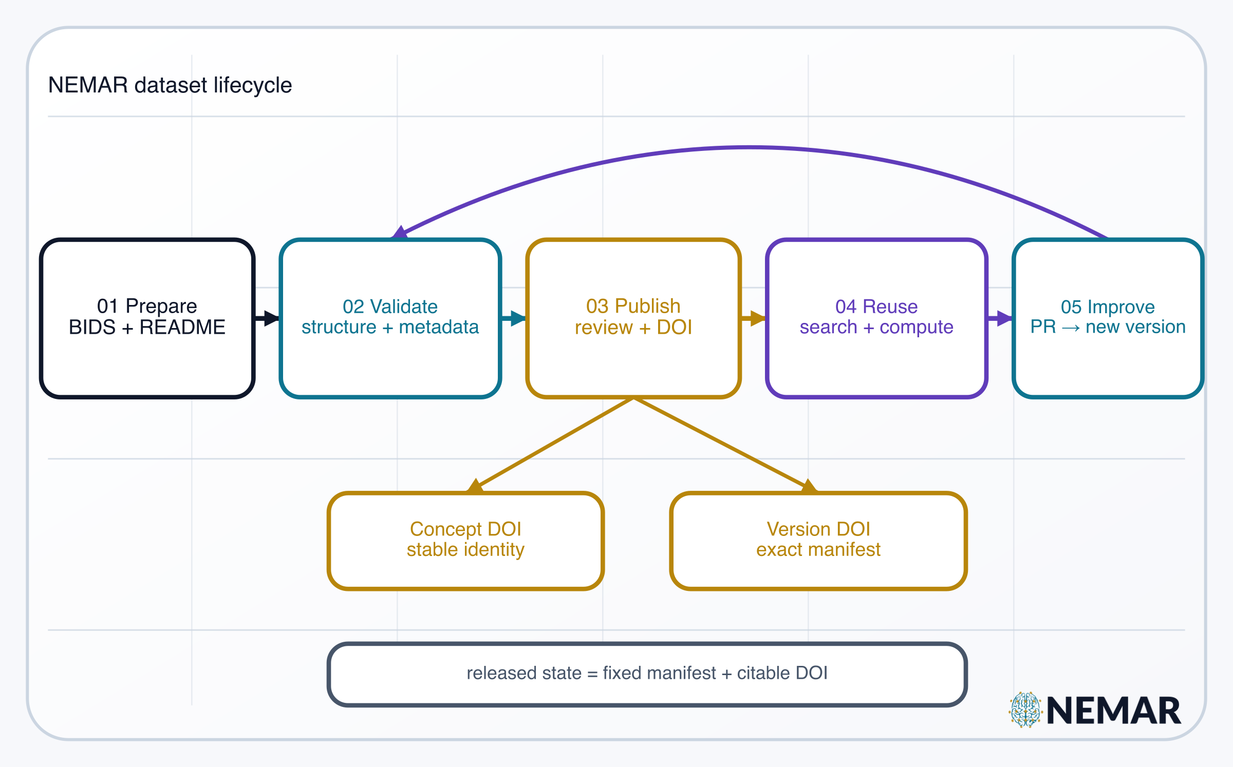 Five-stage dataset lifecycle: prepare BIDS files, validate structure and metadata, publish after review with a DOI, reuse through search and analysis, and improve through a pull request that creates a new version. The publish step creates concept and version DOIs.